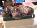 Smoked fish * 600 x 450 * (145KB)